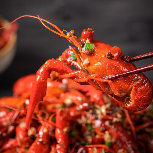 麻辣小龙虾 商品图1