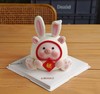lulu猪猪Q款 小兔子 球形 商品缩略图0