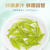 2026新茶 高山安吉白茶125g 商品缩略图3