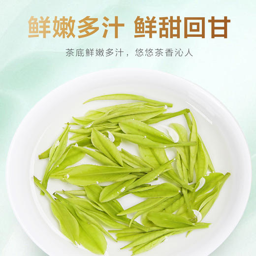 2026新茶 高山安吉白茶125g 商品图3