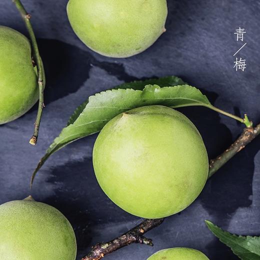 【福建诏安红星青梅5斤装】中大果/单果直径2.6cm以上/国家地理标志产品富硒青梅 梅子/EMS空运 商品图9