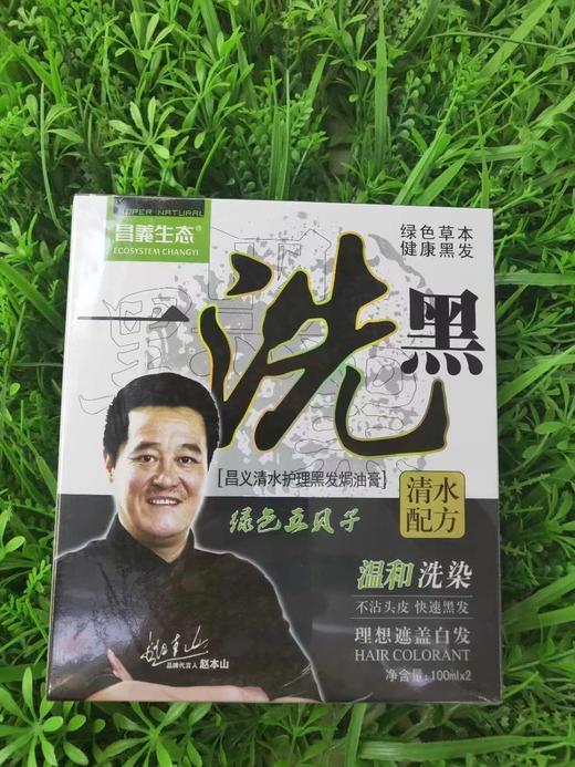 妆字号  昌义生态 绿色五贝子一洗黑 100ml*2  效期20260401 商品图0