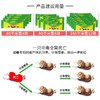 DD-郁康蟑螂药家用杀蟑螂一窝端除蟑螂厨房去蟑螂克星两包装 商品缩略图5