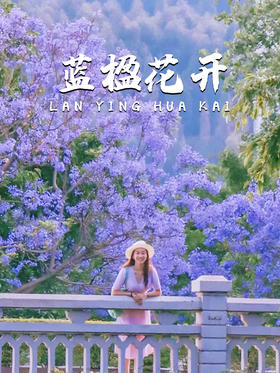 4天3晚丨一年一度蓝楹花，邂逅初夏滇东南