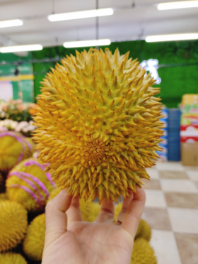 巴掌榴莲一个（拼团）