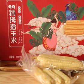 【逐南味】糯拇指玉米 云南傣家老品种 晶莹剔透 软糯细腻 糯叽叽 甜丝丝