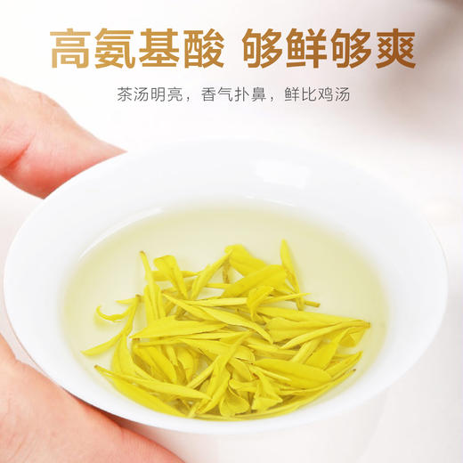 2026新茶 高山黄金芽125g 商品图4