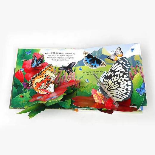 英文原版 Pop-up Butterflies 蝴蝶 立体书 商品图1