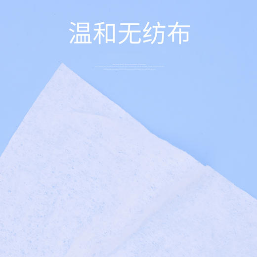 派锐清香型幼猫咪除臭异味湿巾护理100片 商品图1