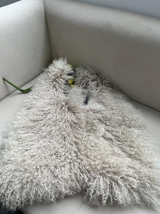 【重磅】臣禾 滩羊毛手提毛毛包K204261318 商品图1