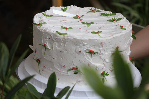 简约复古玫瑰小花 商品图1