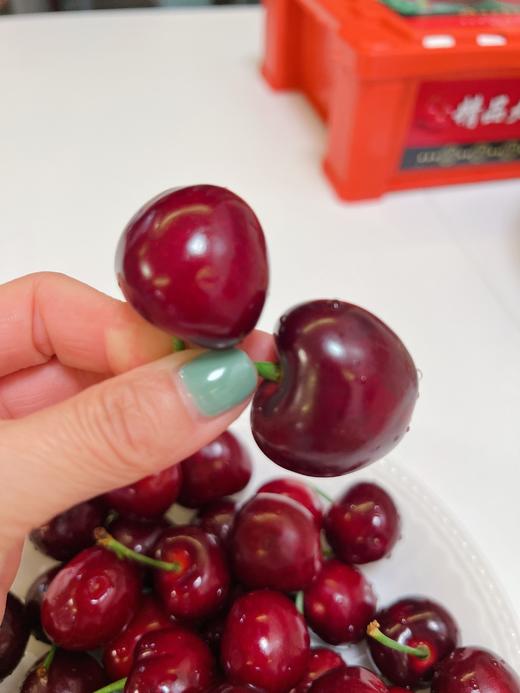 【MJ福利购】大连美早樱桃 JJJJ级 商品图7