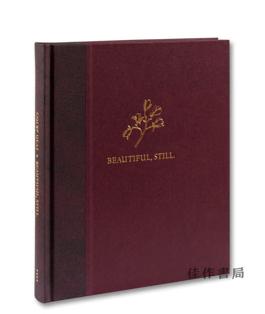 签名版丨Colby Deal：Beautiful、Still / 科尔比·迪尔：美丽、仍然 商品图0