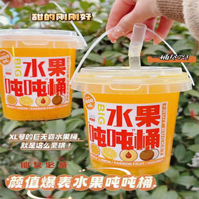 【7.9元/桶】言小吉水果吨吨桶果汁饮料1kg（0403399）
