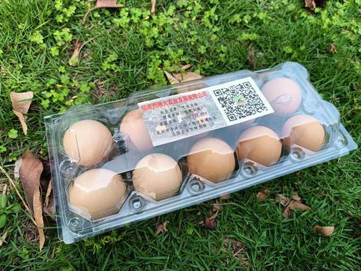 土鸡蛋（10粒装） 商品图0