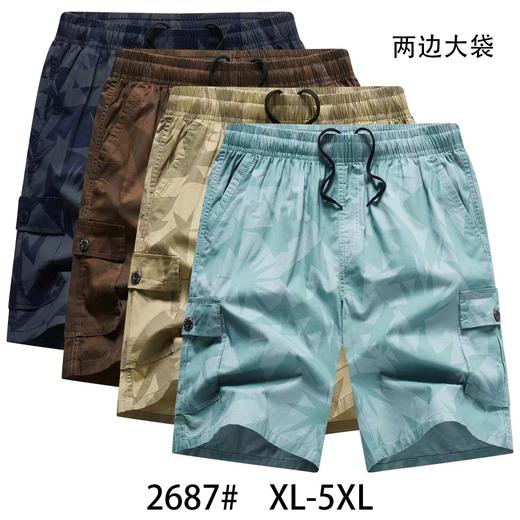 男休闲中裤2687 商品图0