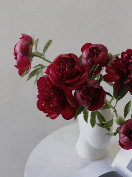 【预售！4.20起陆续发货】红色魅力芍药【当你觉得余味苦涩，请你相信，终有回甘】 复古暗红丝绒质感芍药 2束包邮 顺丰空运直发 商品图9