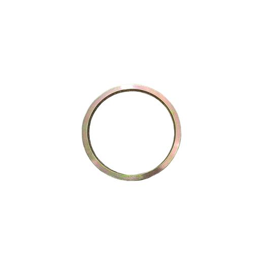 ABS齿圈100齿鼓刹适用于BPW部分鼓式车桥瑞鑫208-176-13 商品图1