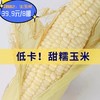 「自营」都市惠独家供应稀有小黄粘鲜食玉米棒 商品缩略图5