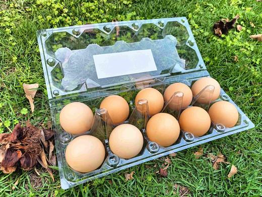 促销-土鸡蛋（10粒装） 商品图1