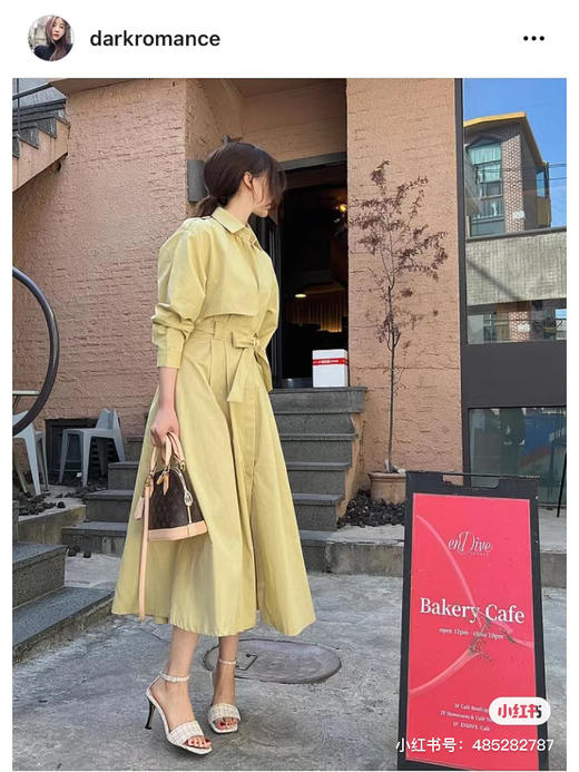 Lv经典贝壳包 商品图4