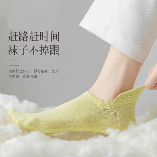 【纯棉短袜5双装】新款船袜夏季薄款纯色女袜 提耳护跟隐形袜休闲短袜 商品图3