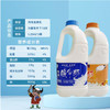 雪顿酸牛奶1.25kg 商品缩略图1