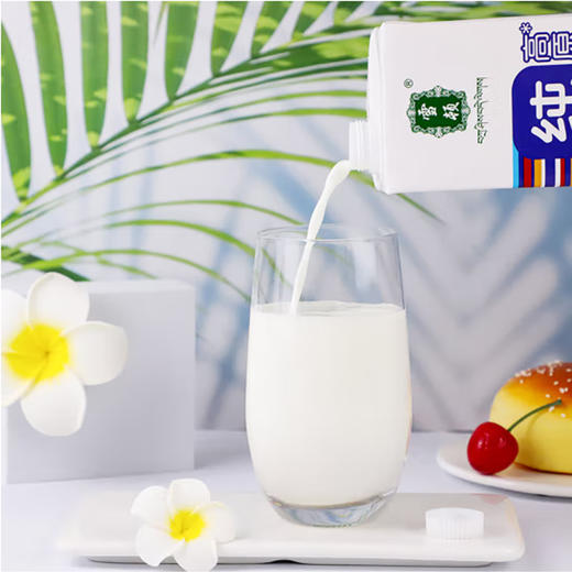 雪顿无菌砖纯牛奶【1000ml】 商品图1