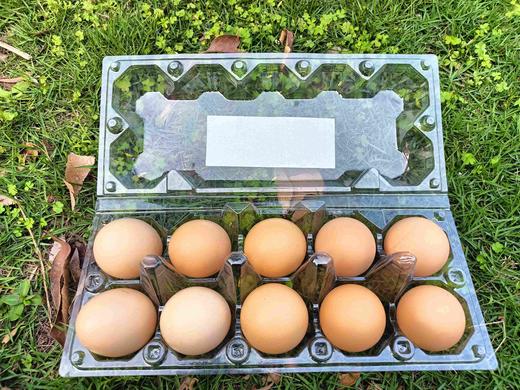 促销-土鸡蛋（10粒装） 商品图2