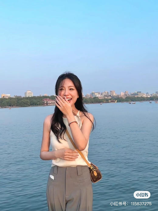 Lv新款枕头包nano 商品图2