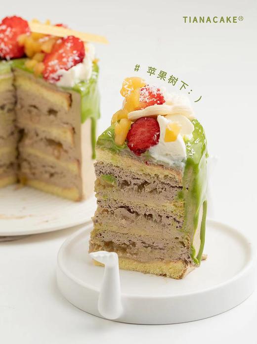 四寸苹果树下 商品图2