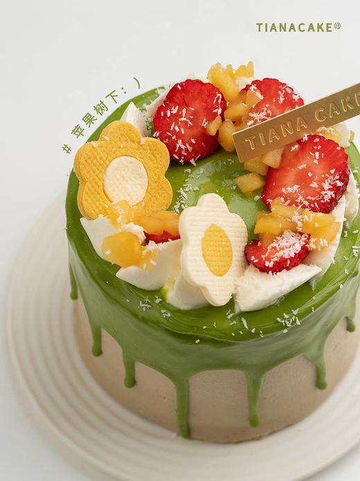 四寸苹果树下 商品图0