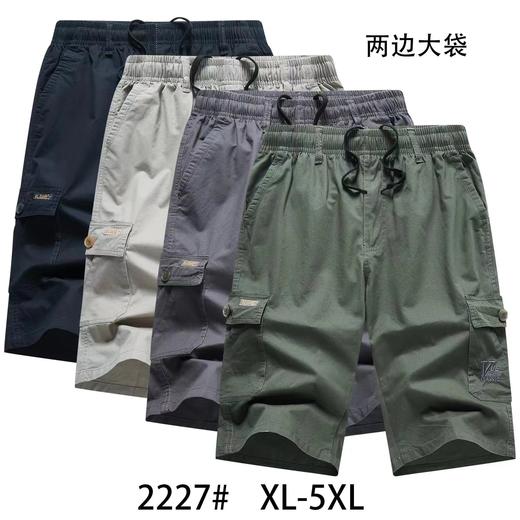 男休闲中裤2227 商品图0