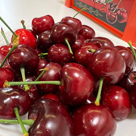 【MJ福利购】大连美早樱桃 JJJJ级 商品图0