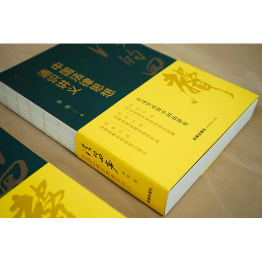 法的回声：中国法律思想通识讲义 李鸣著 商品图8