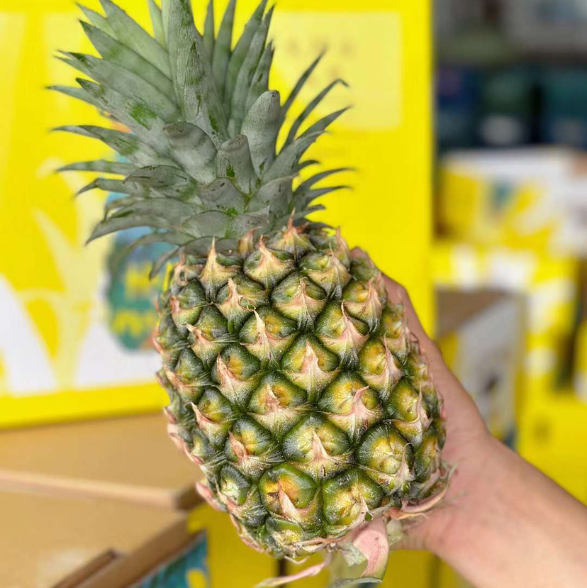 海南火焰山冬蜜凤梨顺丰快递包邮下单从三亚发货