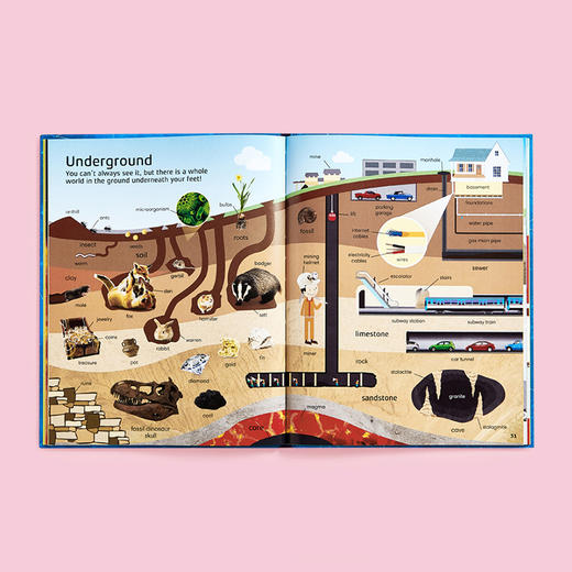 【英语原版】小彼恩点读书 DK1000个英语常用词词典 1000 Useful Words 图解英语单词原版绘本 毛毛虫点读笔配套书 （不带笔） 商品图6