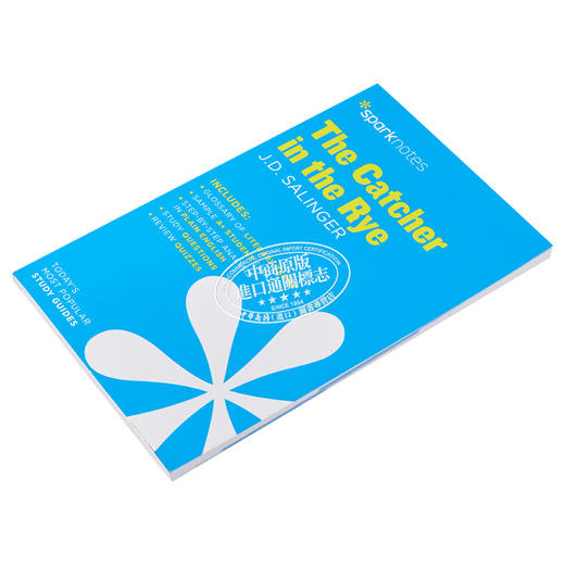 【中商原版】Sparknotes 文学指南:麦田里的守望者 The Catcher in the Rye Literature Guide 英文原版 J D Salinger 商品图2