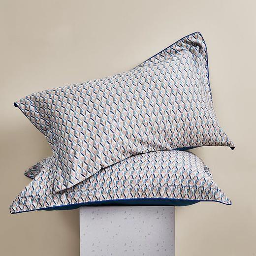 【6F】罗莱·尚 蓝调时刻 DY1609-4 商品图4