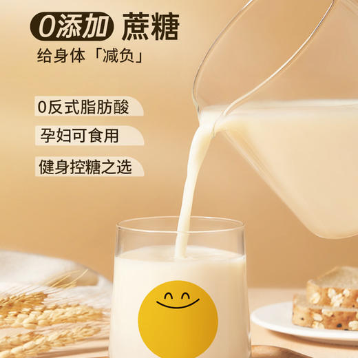 21天自律打卡速溶早餐营养代餐食品纯黄豆豆浆粉 商品图2