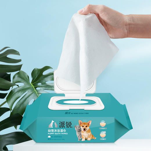 派锐幼犬清洁去味除臭擦脸擦眼护理狗狗湿巾 商品图3