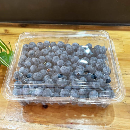国产蓝莓500g/盒  小身材/大营养 商品图0