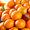 伦晚春橙9斤装左右（大果）（商） 商品缩略图2