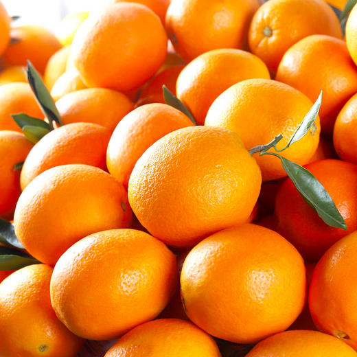 伦晚春橙9斤装左右（大果）（商） 商品图2