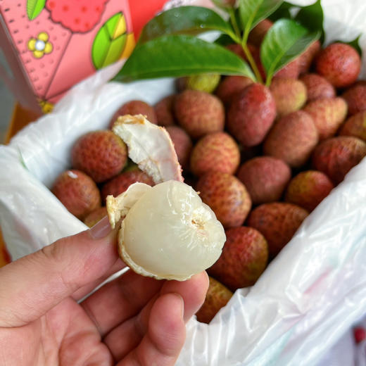 【桂花香 荔枝】桂花香 空运无水荔枝，荔枝的第一款，目前也只有这一款，可以尝鲜啦！ 商品图2