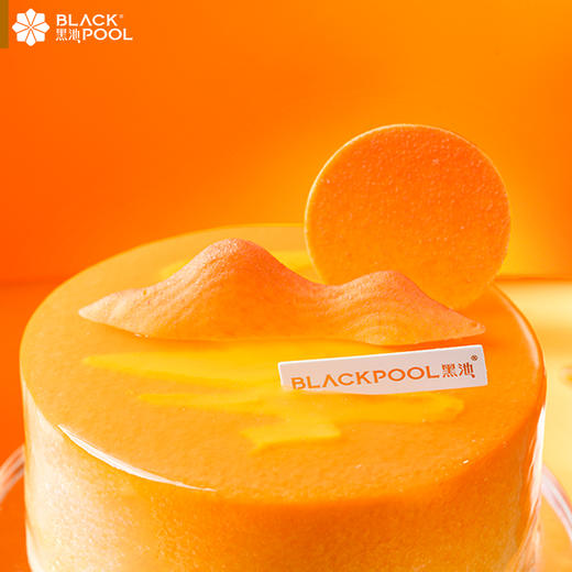 （预约验券专用）日照金山·杏桃香草莓果慕斯 验券不成功不发货，选择款式，备注平台+券码，下单支付0.01元即可 商品图2