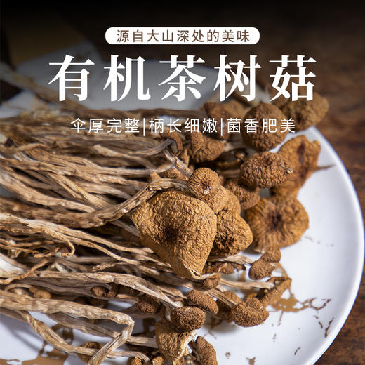 【社群专享】有机茶树菇  伞厚完整  柄长细嫩  菌香肥美  吃法多样 商品图0