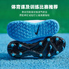 NIKE/耐克 JR VAPOR 15 CLUB TF PS (V) 幼童款 入门级 刺客15 低帮TF碎丁足球鞋 商品缩略图2