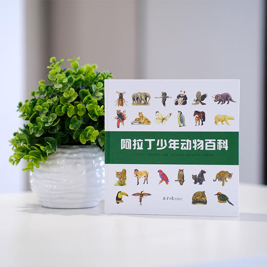 童立方 阿拉丁少年动物百科 7-14岁精装 自然与艺术的相遇，以多角度观察动物 商品图1