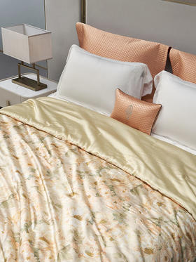 whinny/惠谊 清凉天丝™可水洗空调被 绮境花园 新雪丽纤维夏被